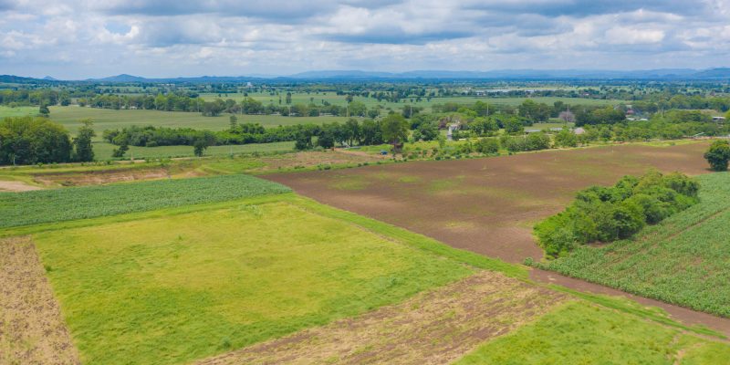 Aerial top view of grass and crops field with green Mountain hill in agriculture concept. Nature landscape background in Thailand.